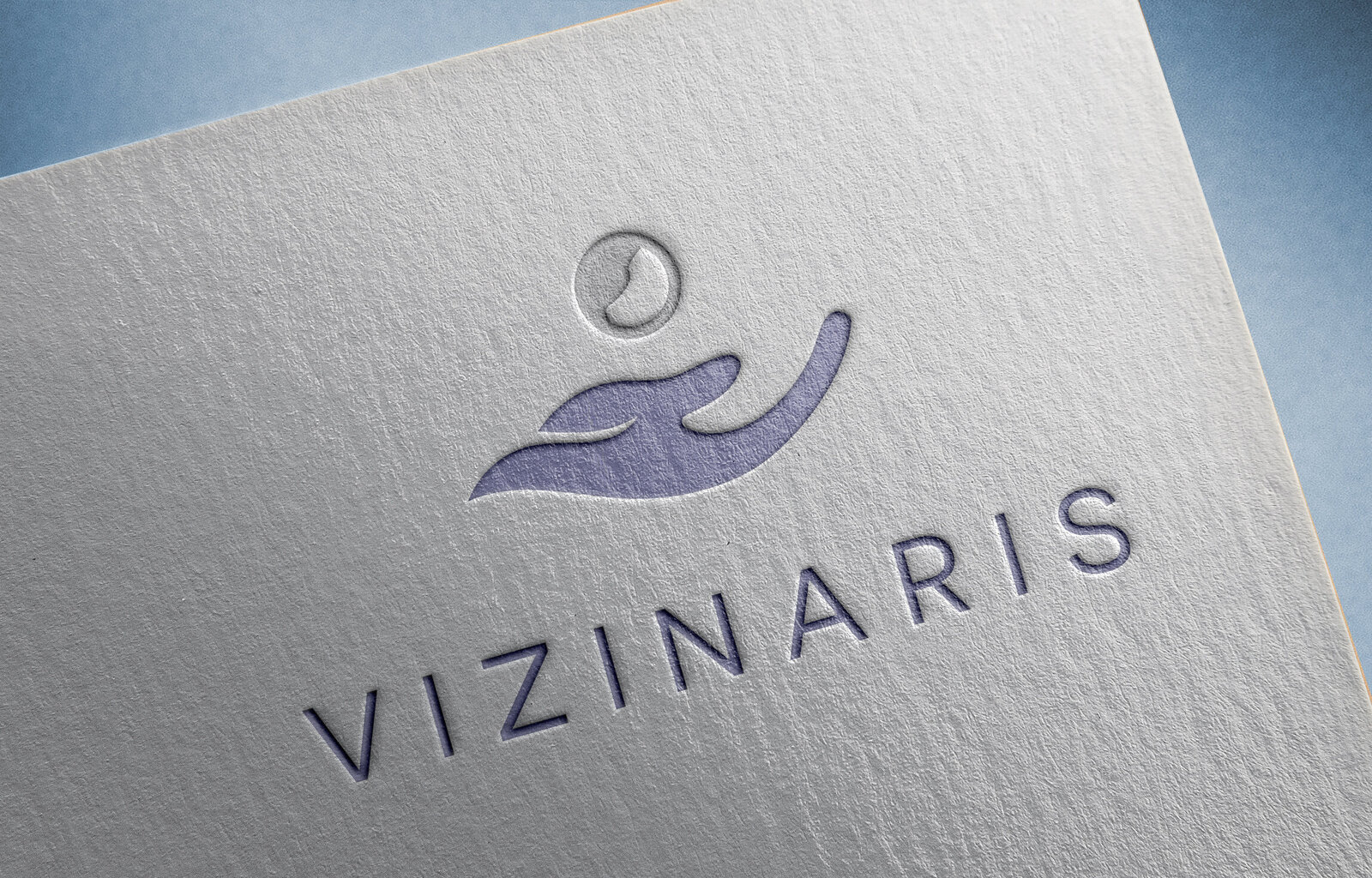 Vizinaris Logo