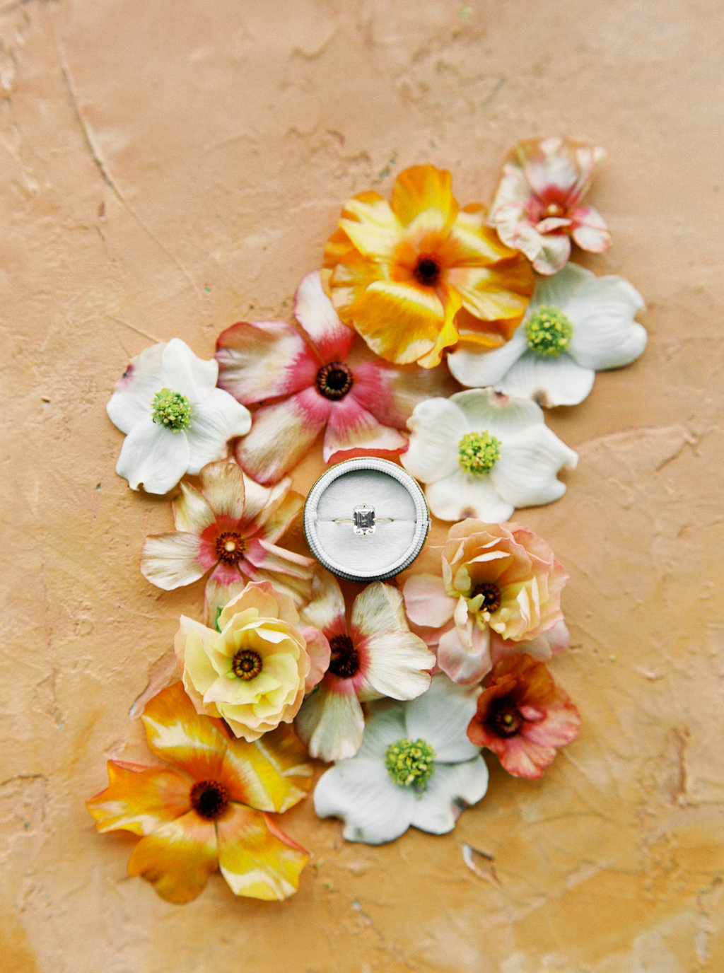 TamarindEditorialTygeWilliamCellars-CassieValentePhotography0015 copy