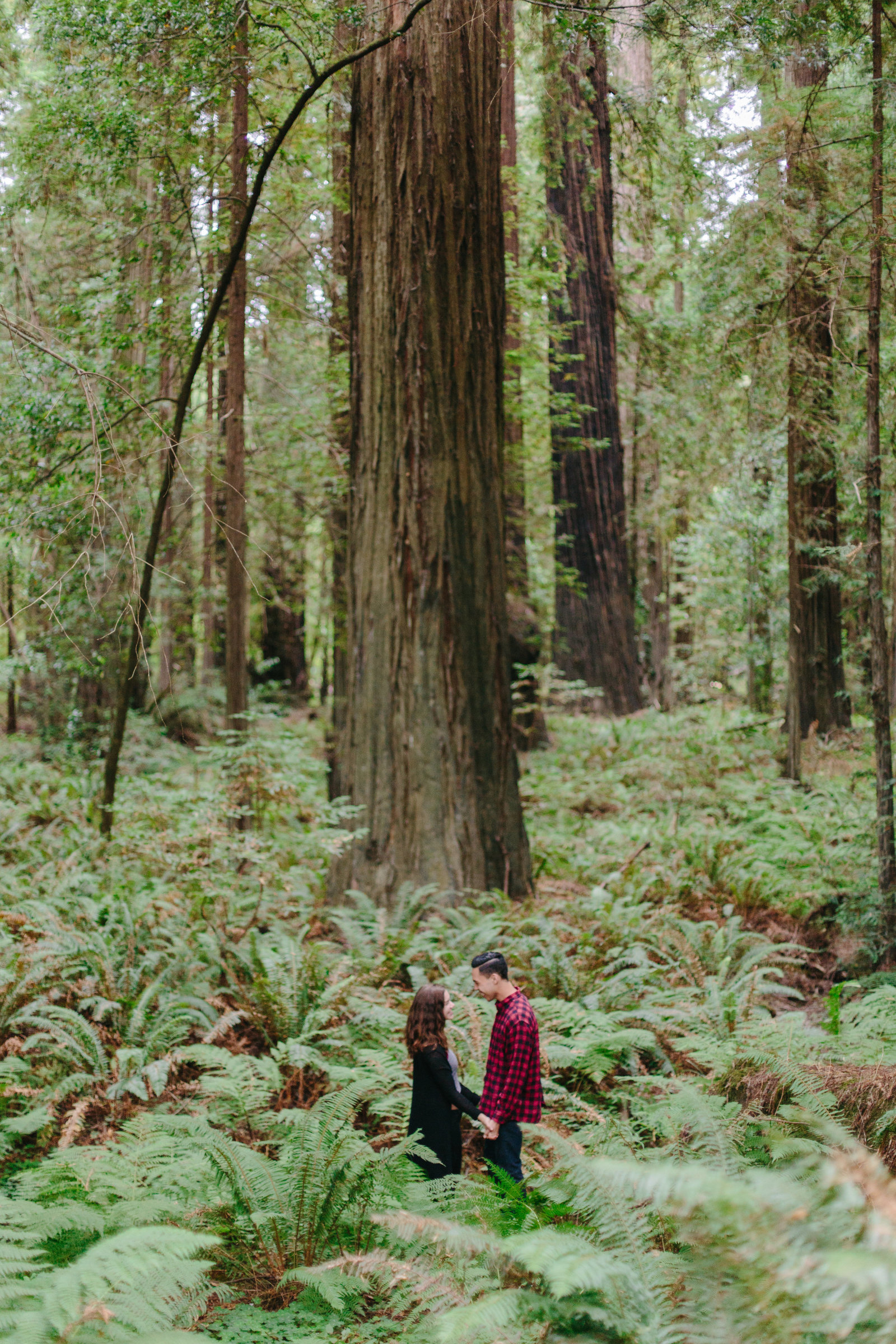 Redwood National Park Avenue of the Giants Engagement Session -7276