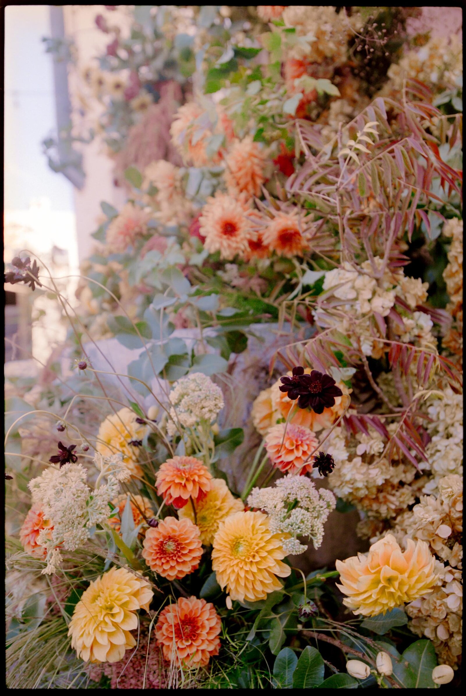Jess-Buckley-Photo-California-Film-Wedding-1