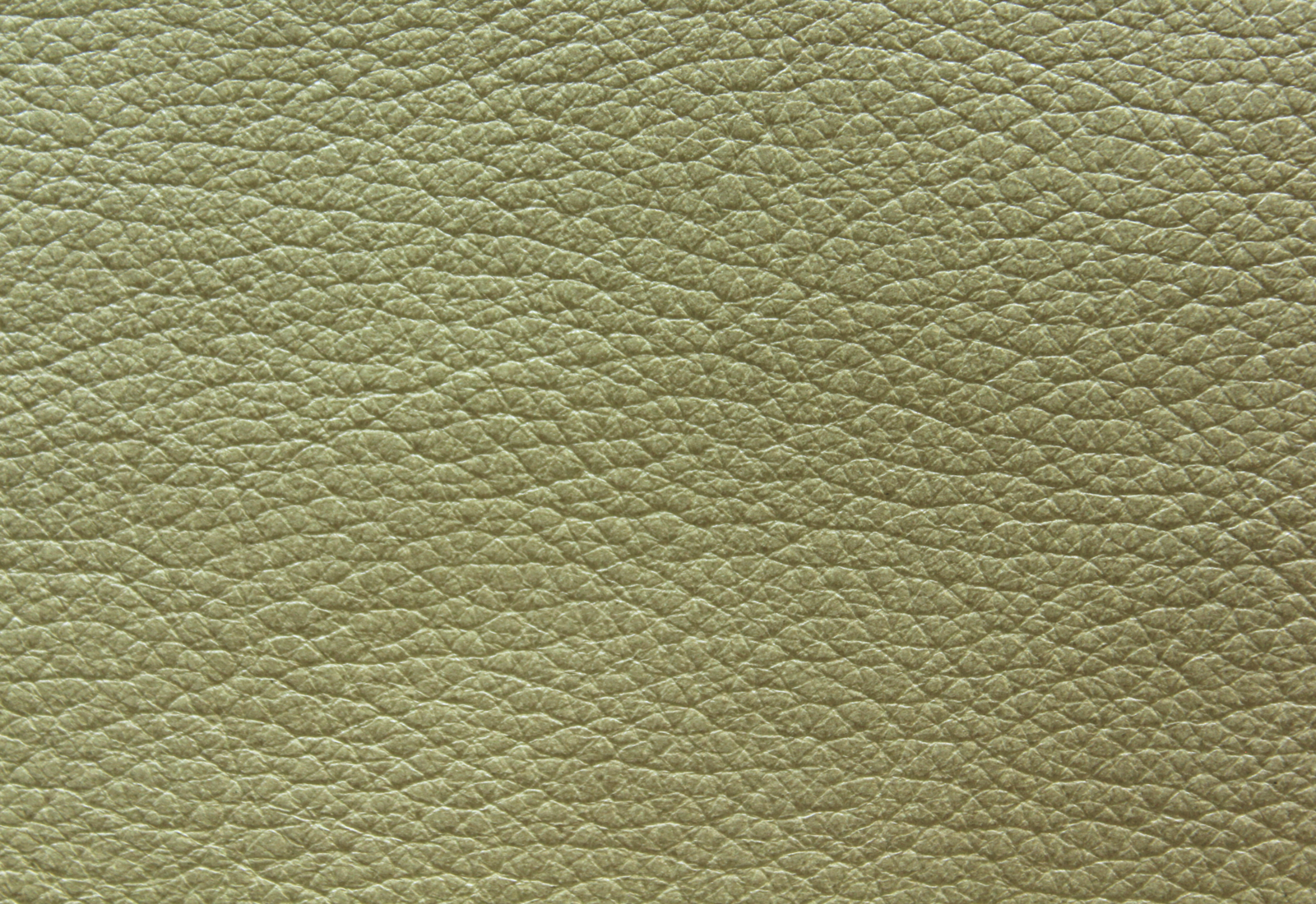 Noveaux Champagne Leather