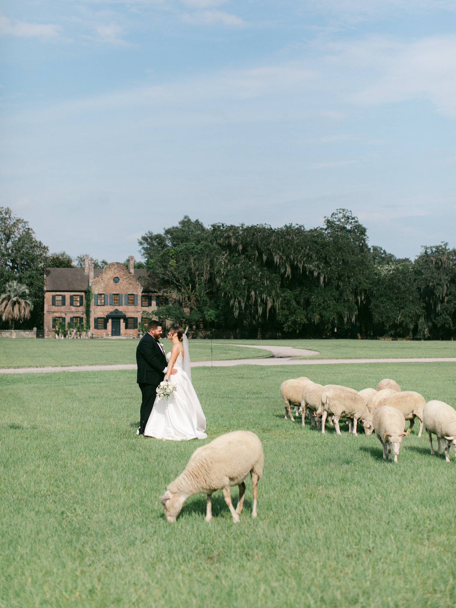 39-torianna-brooke-portraiture-middleton-place-charleston-sc-wedding