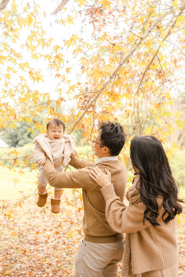 mum and dad throwing boy in the air with autumn leaves backdrop during fall minis in brisbane