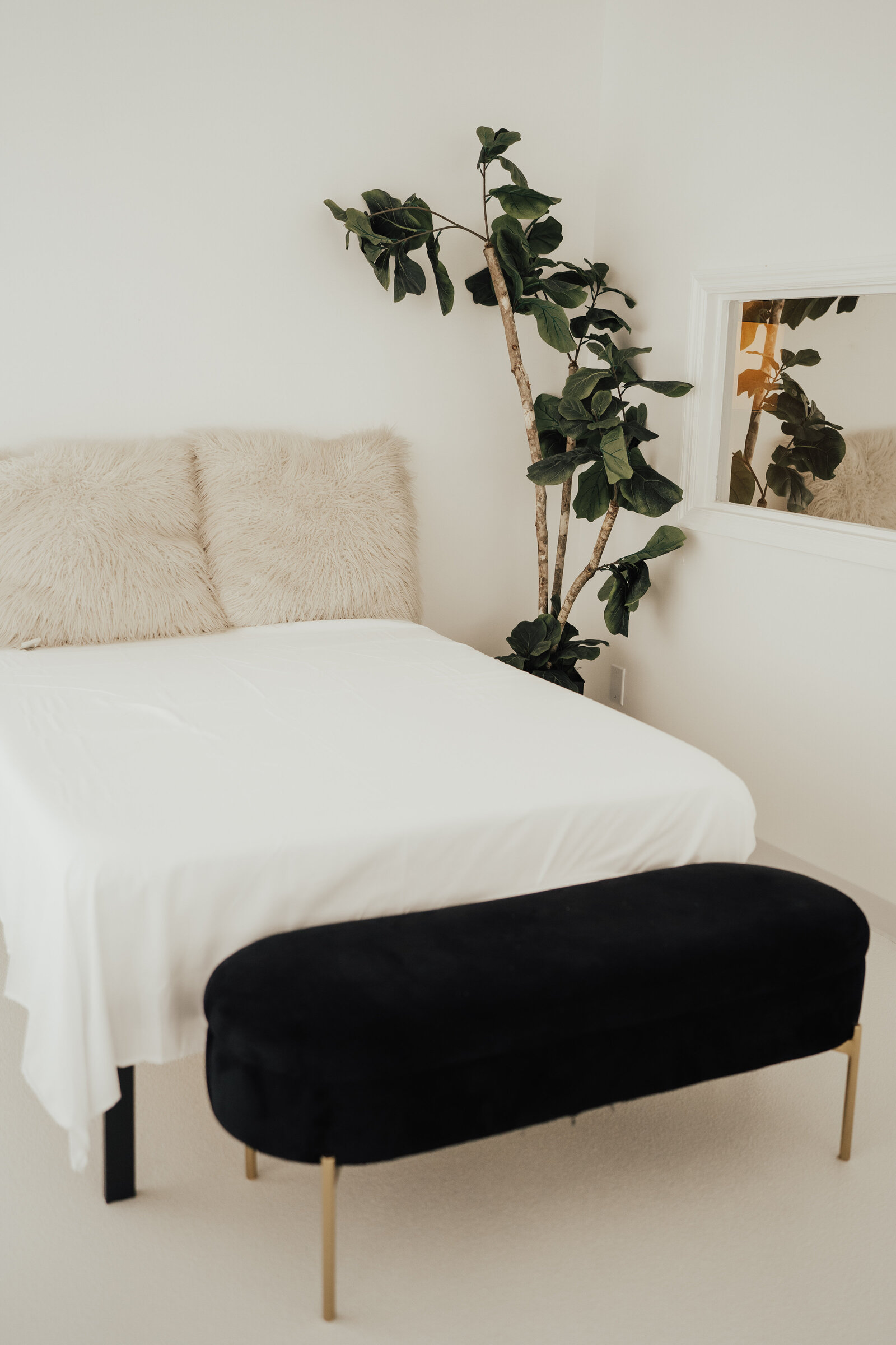 Pompy portraits new studio 6