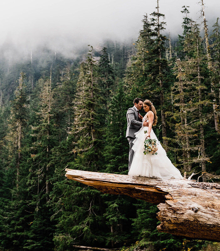 A couple hugs while standing on top of a large fallen log in the backcountry of Washington photographed by Washington elopement photographer Amy Galbraith