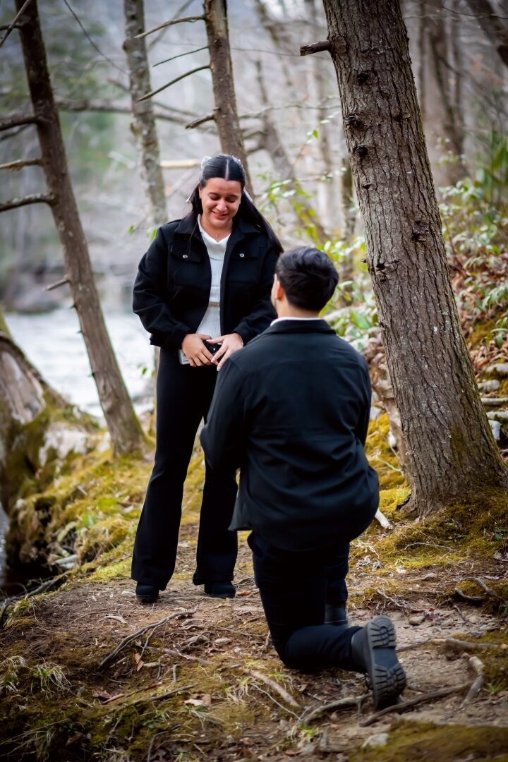 Great_Smoky_Mountains_Proposal