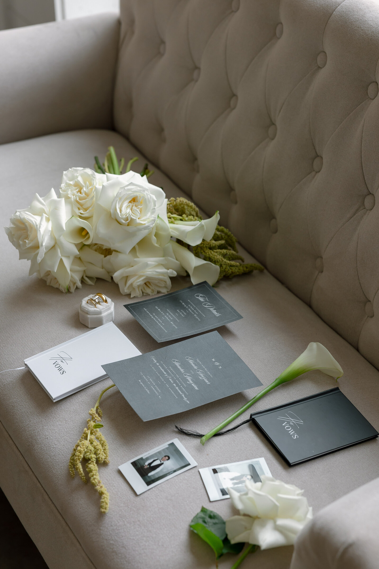 Alex-McCrary-Photography-Max-Kate-Klein-Family-Cedar-Falls-Iowa-18