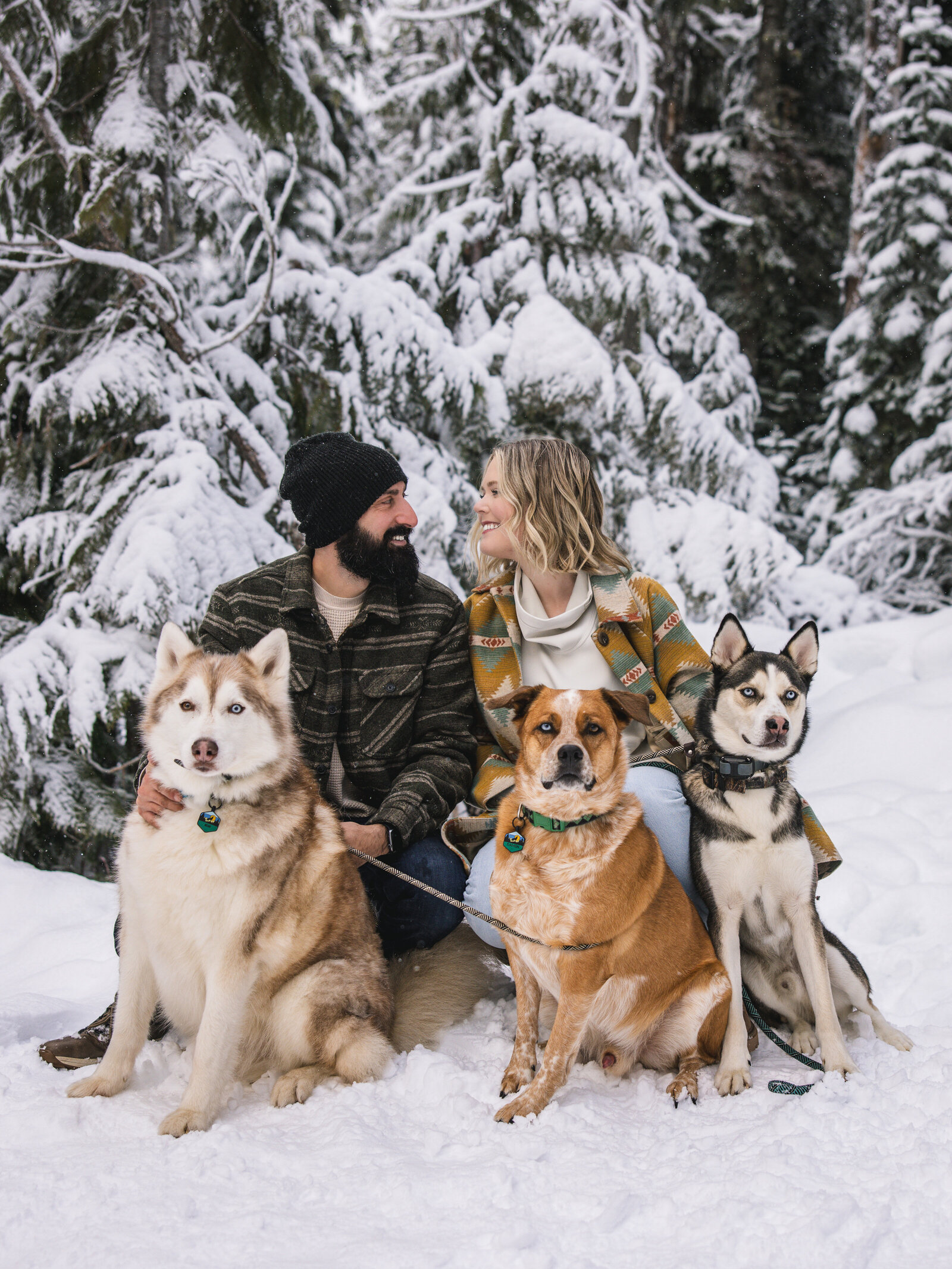Couple and their dogs in the snow
