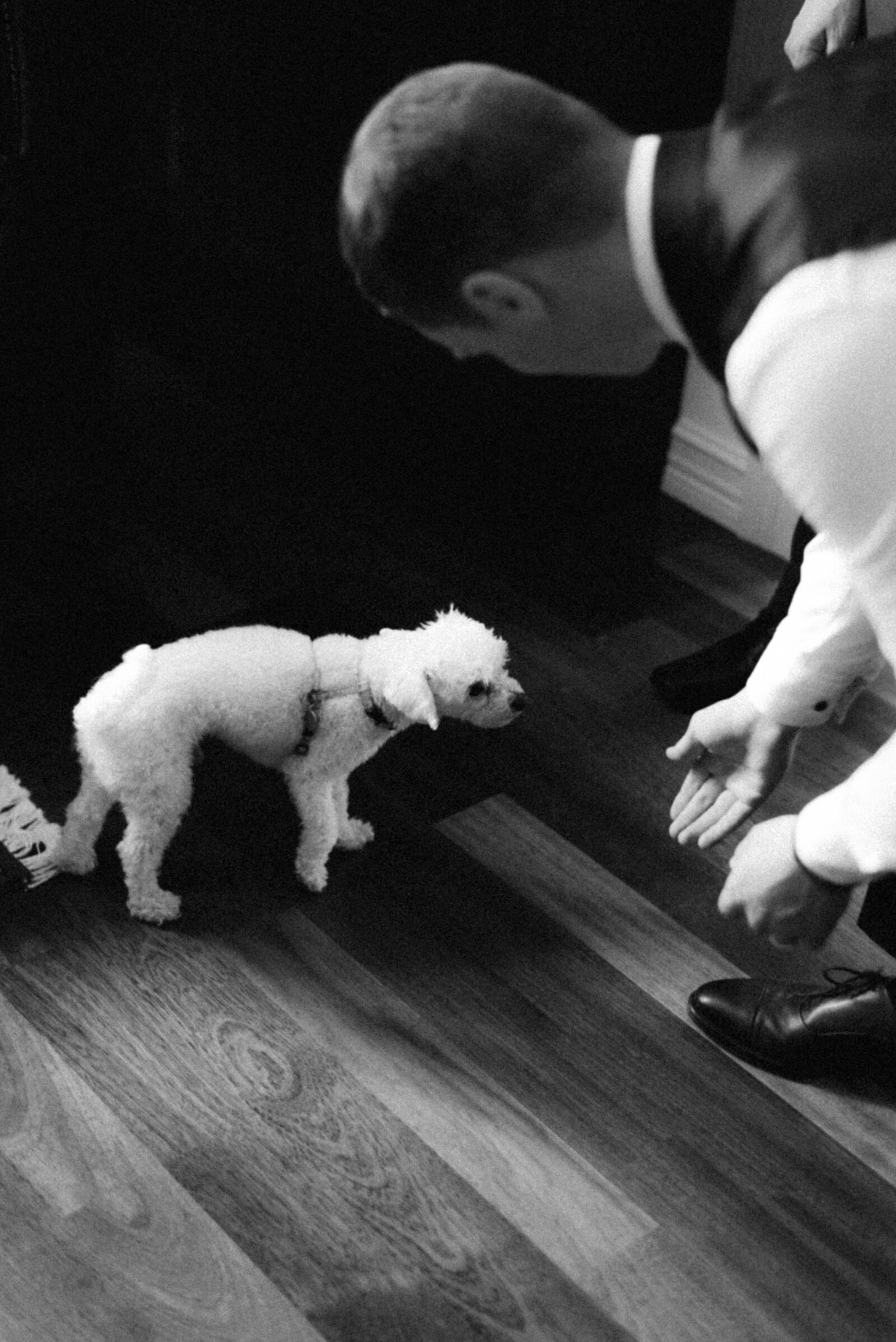 The dog is greeting the bestman in an image photographed by wedding photographer Hannika Gabrielsson.