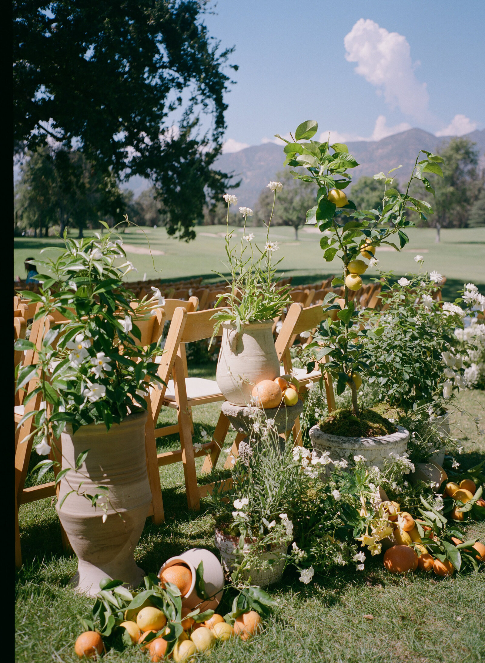 orange county - wedding planner7