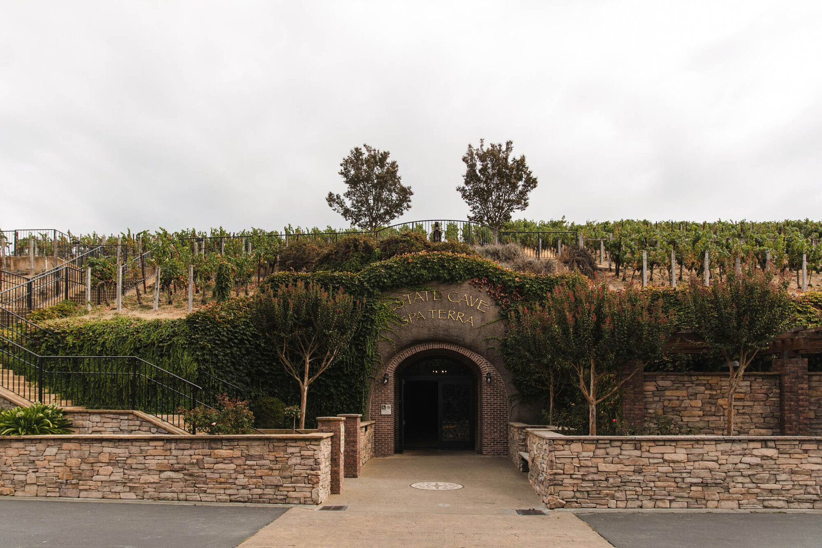 sikh-wedding-sonoma-napa-california-40