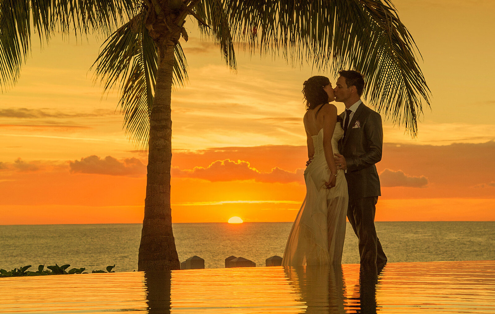 Wedding couple kissing at sunset under a beautiful palm tree wearing grey suit and white dress in Oahu