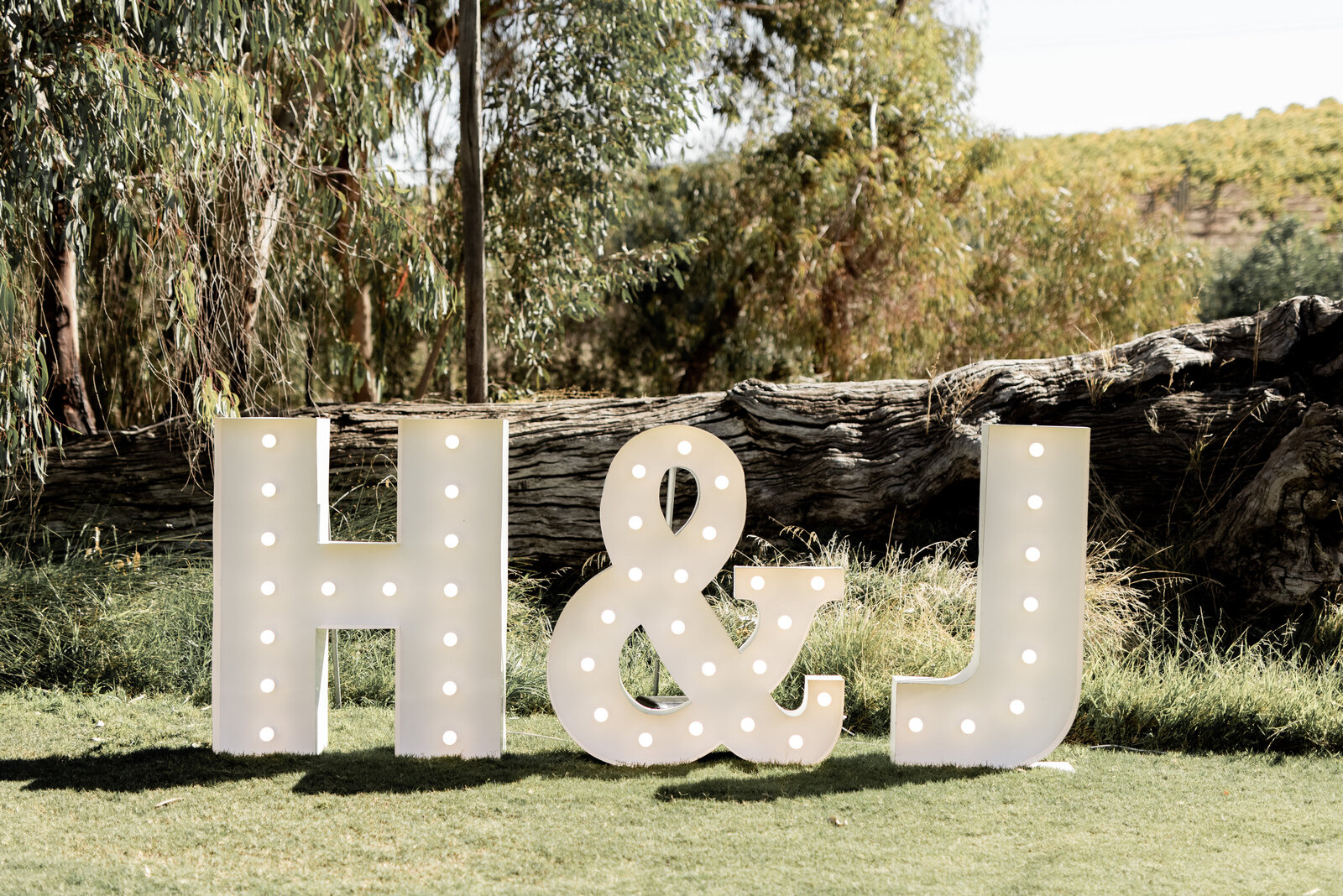 Hannah-Josh-Rexvil-Photography-Adelaide-Wedding-Photographer-206