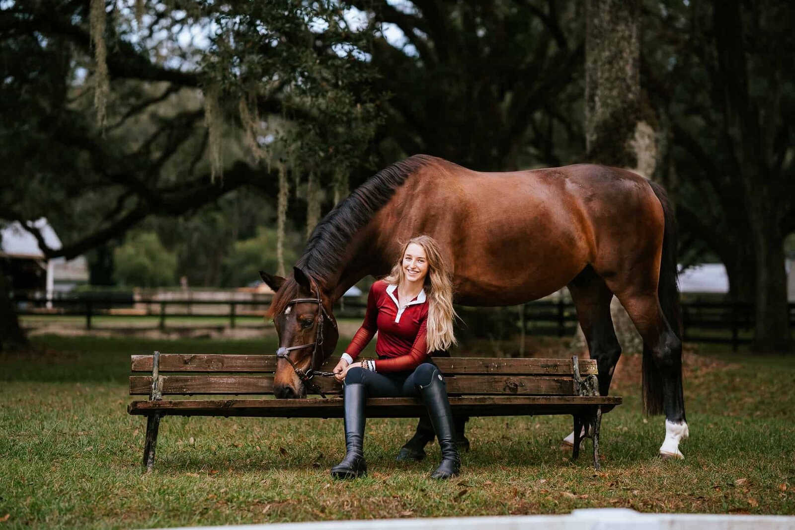 equine-horse-photography-ocala-lakeland-photographer-25