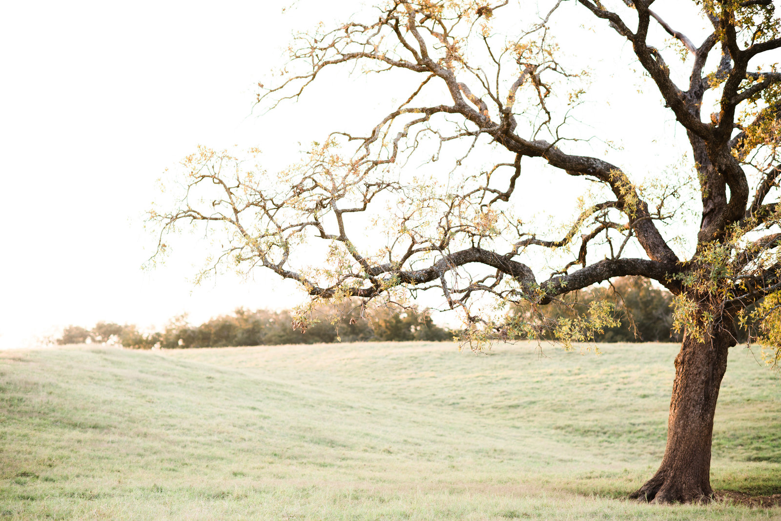 katihewittphoto_kirby+zach-7641