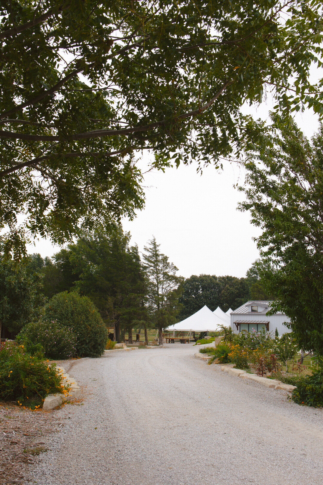 reuben-wedding-teasers-prairie-hill-vineyard-kayxbee-1