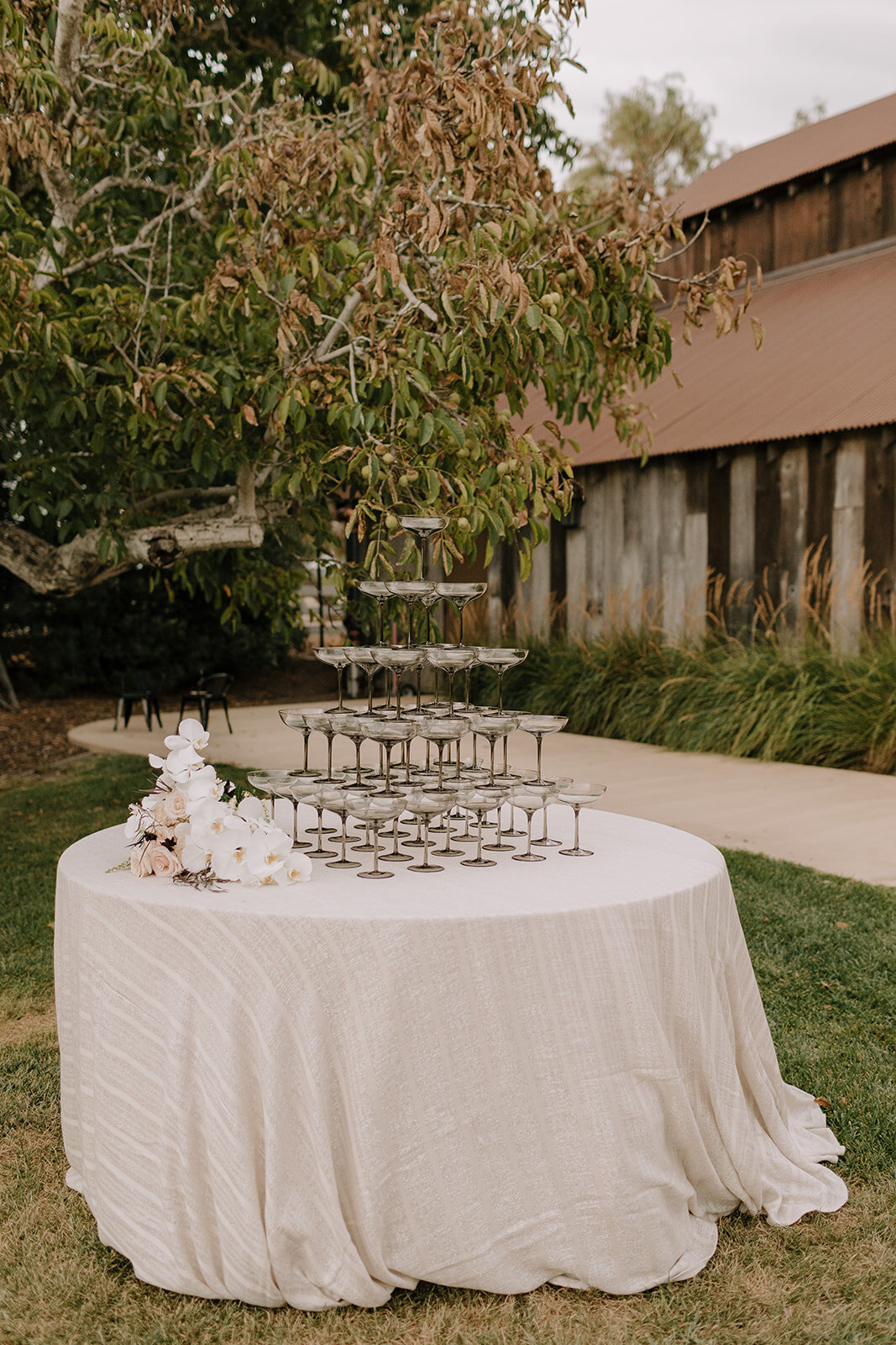 BrianaNolan_Wedding_LS_1-1443
