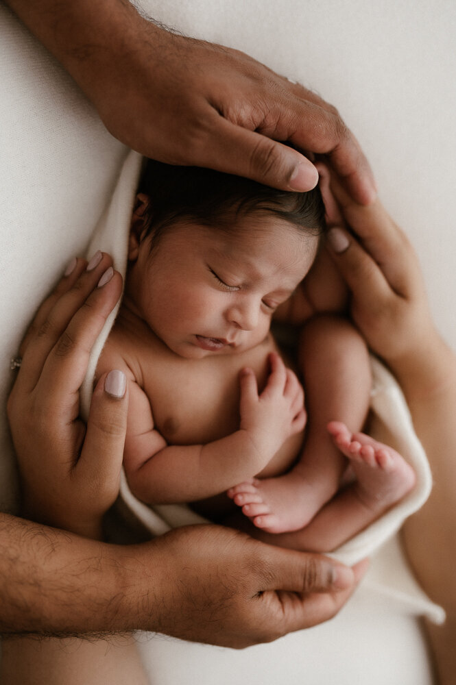 newborn session photos sydney family photography-89