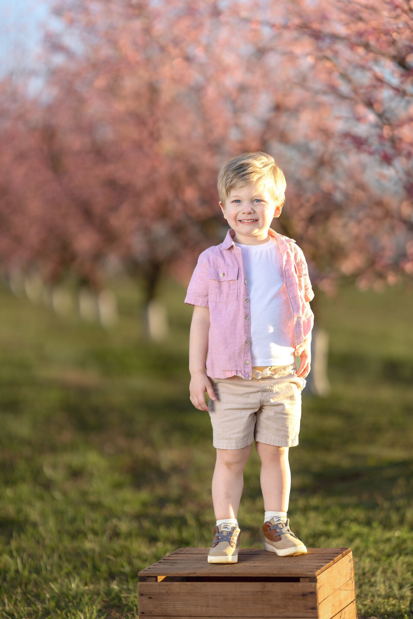 Raleigh-family-photographer-2025-604