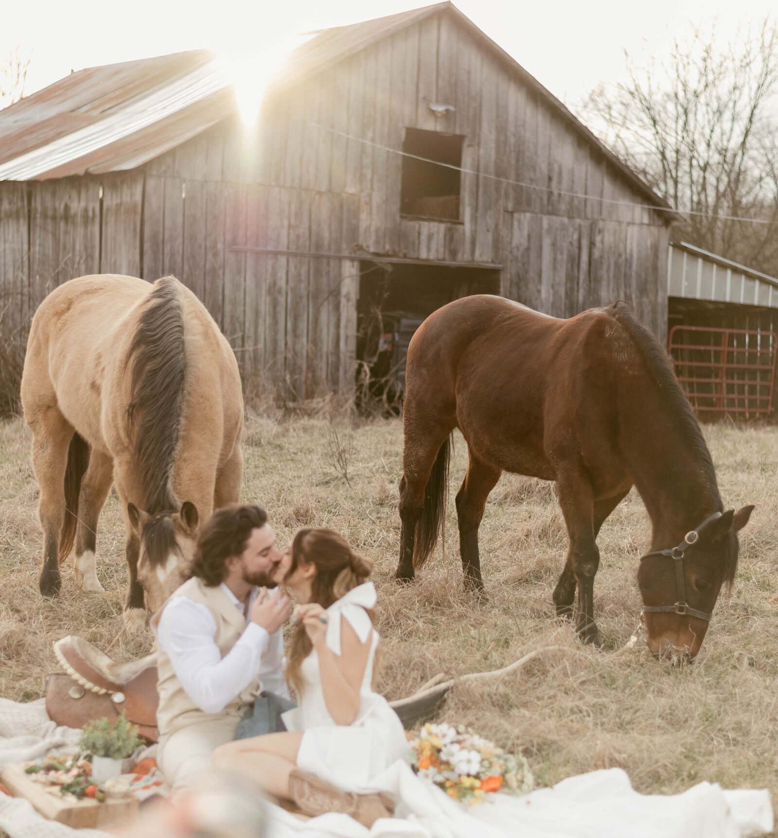 picnichorse25 (1 of 1) - Copy
