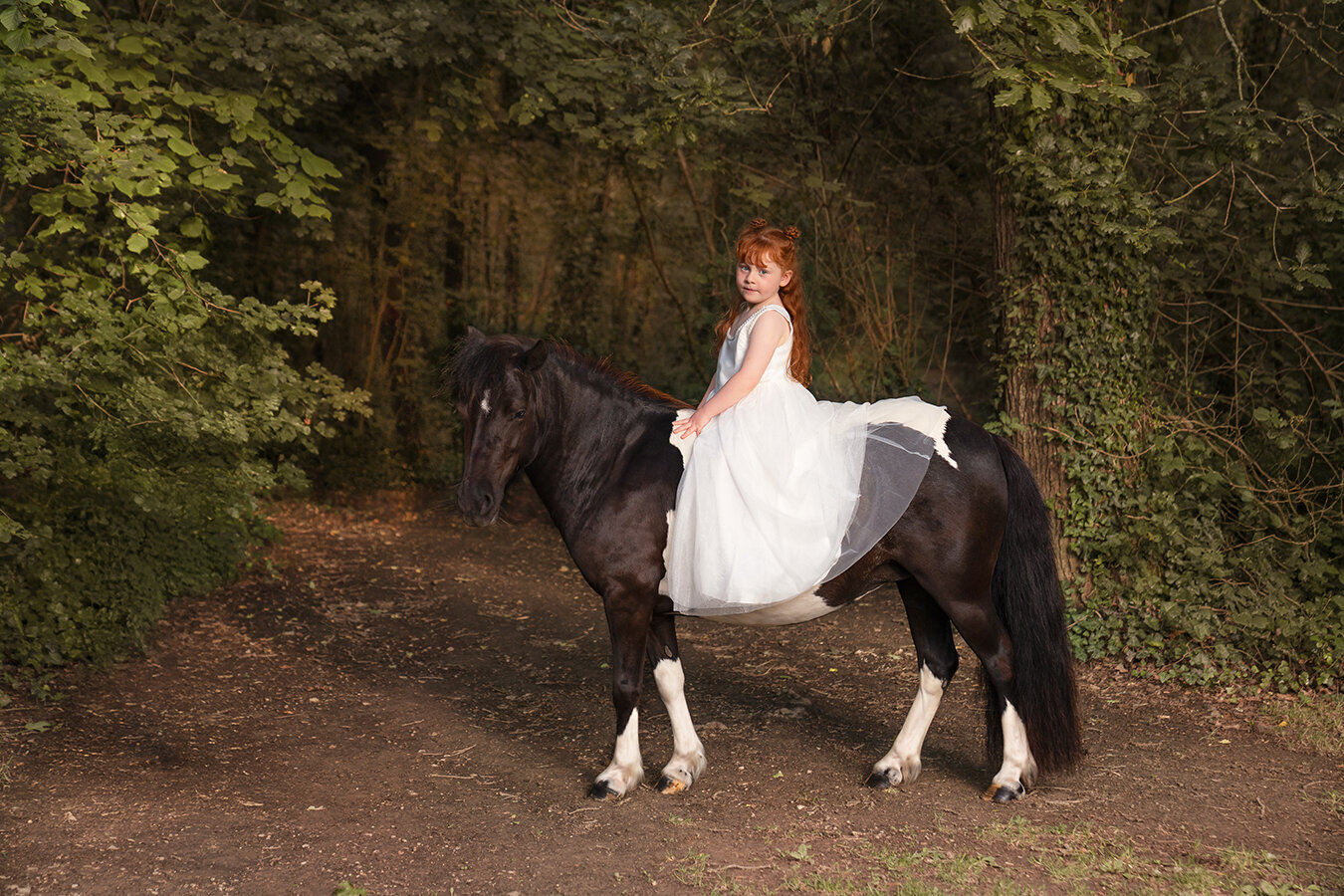 Isle_of_wight_horse_photographer