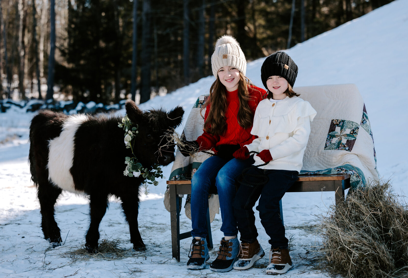 Two sisters sit on bench next to mini cow and smile during their winter family photo session in Lee, New Hampshire