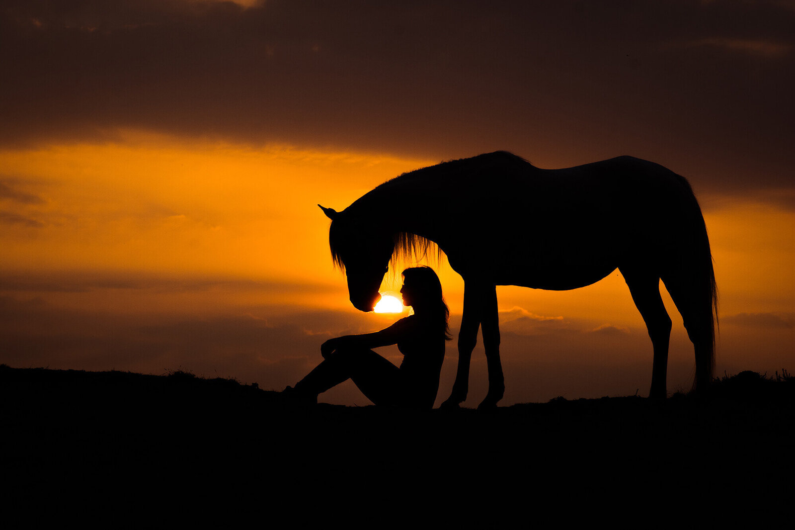 JNSW-paard-zonsondergang