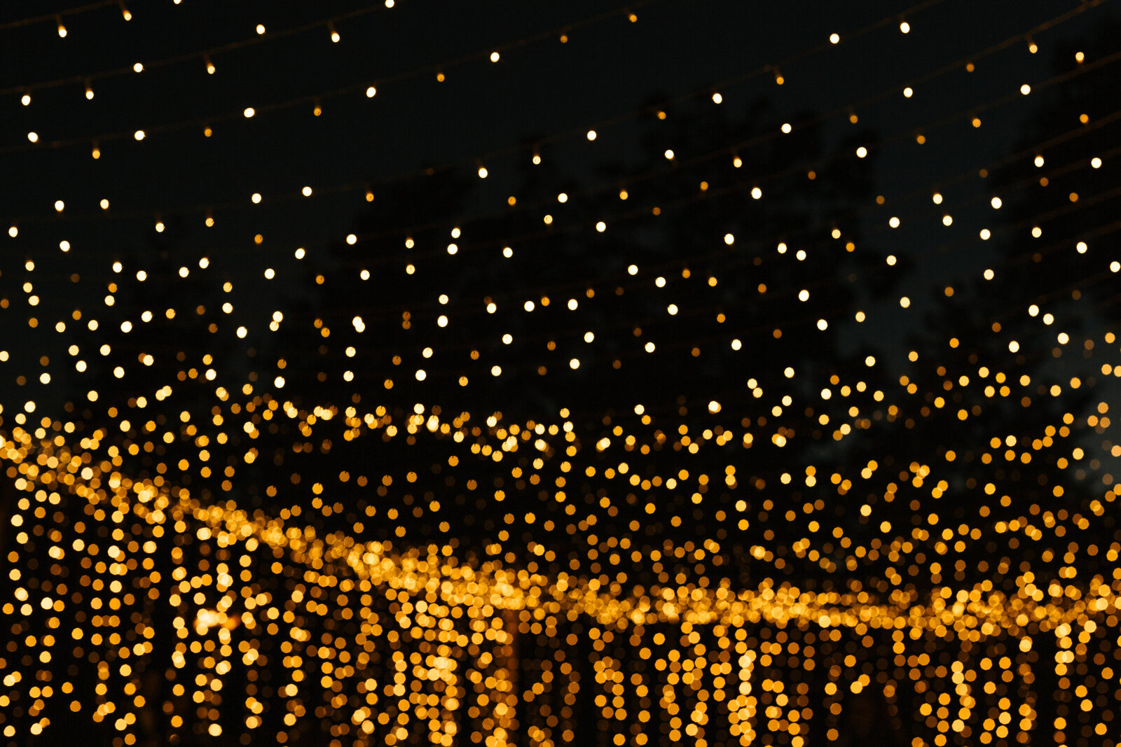 String lights at night.