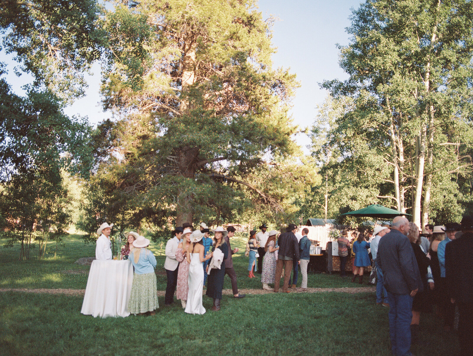 cassidymichael_coloradoweddingonfilm_stillsbytrinity-26