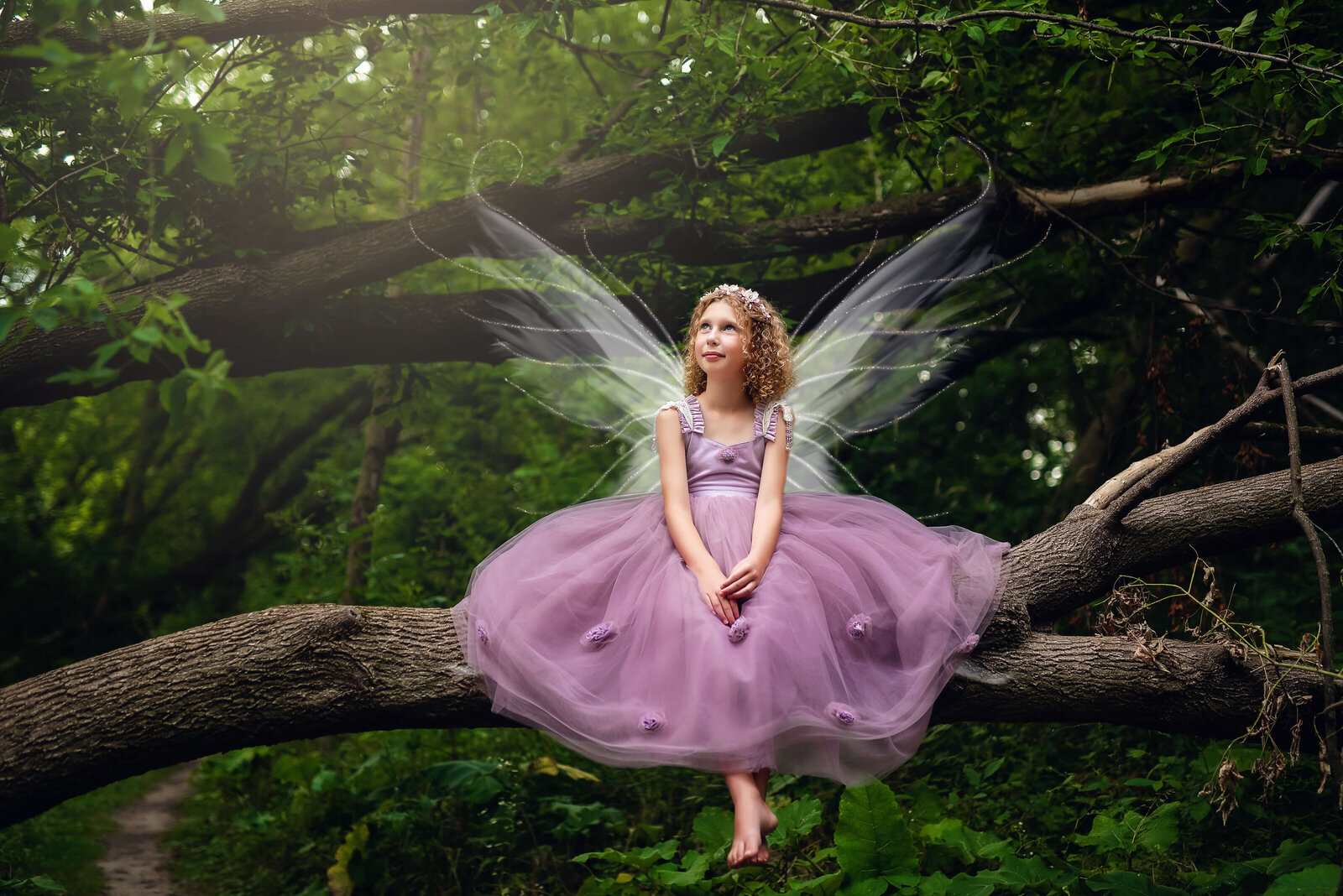 Garvelink_0155fairy