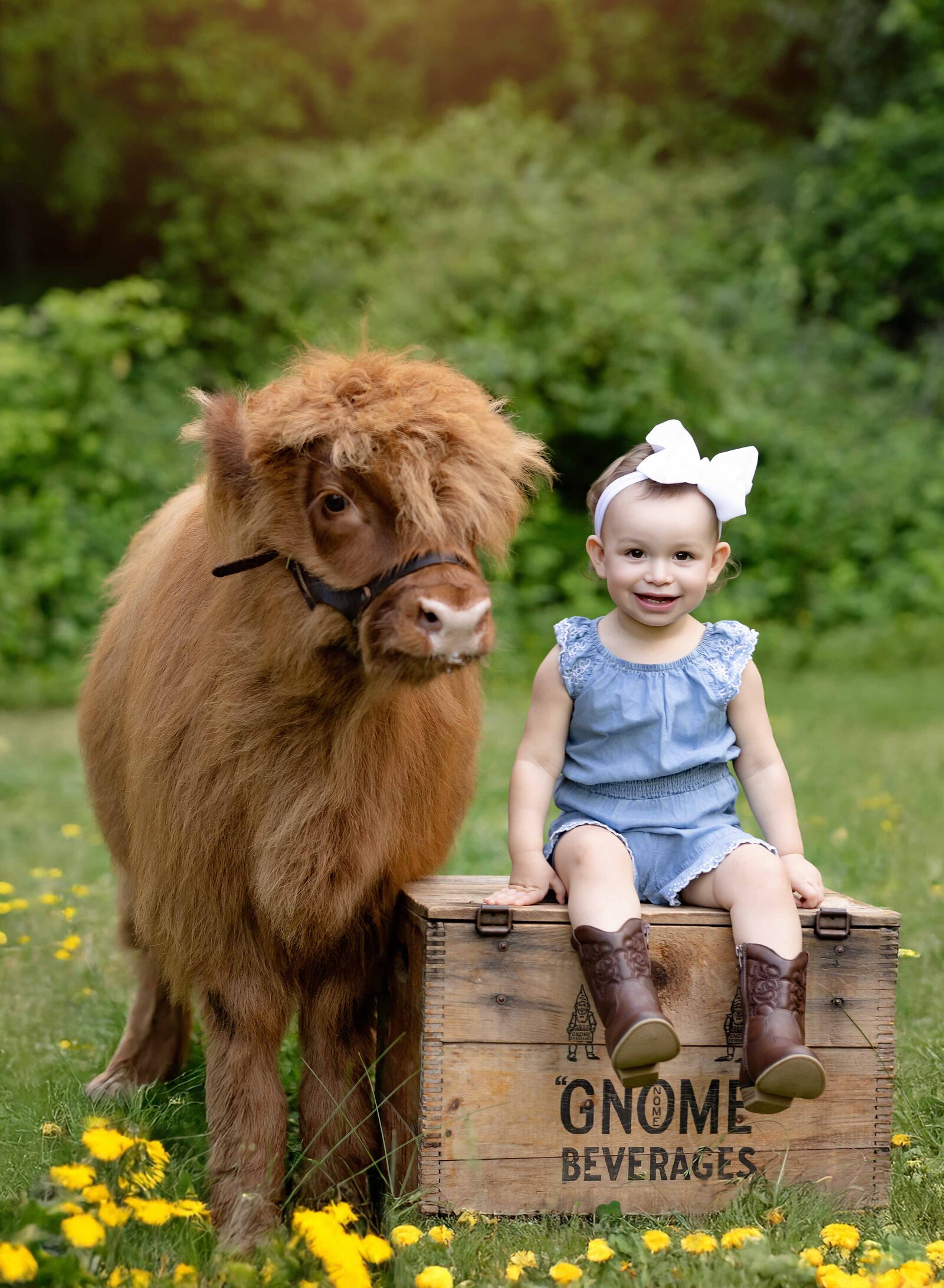 Baby girl in boots, sitting on crate, with baby highland cow next to her. Atlanta Children's Photographer captured this in canton, GA.