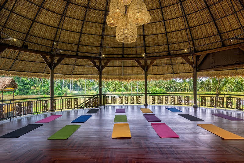 Enchanted Garden - Yoga Space with Mats