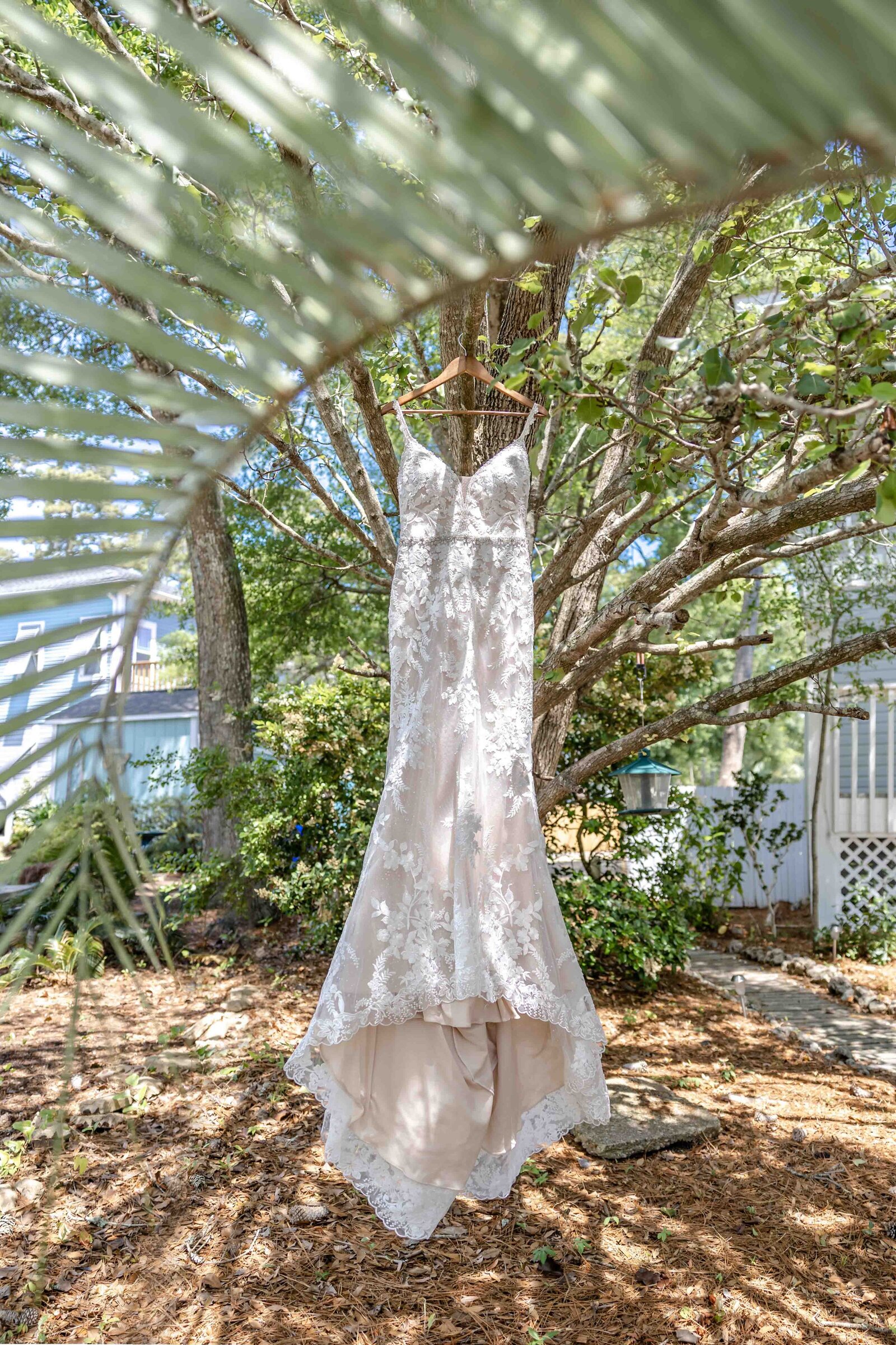 A lace wedding dress hangs from a tree branch surrounded by greenery, captured in a sunlit garden during a Wilmington, NC wedding, blending natural beauty with elegant bridal details.
