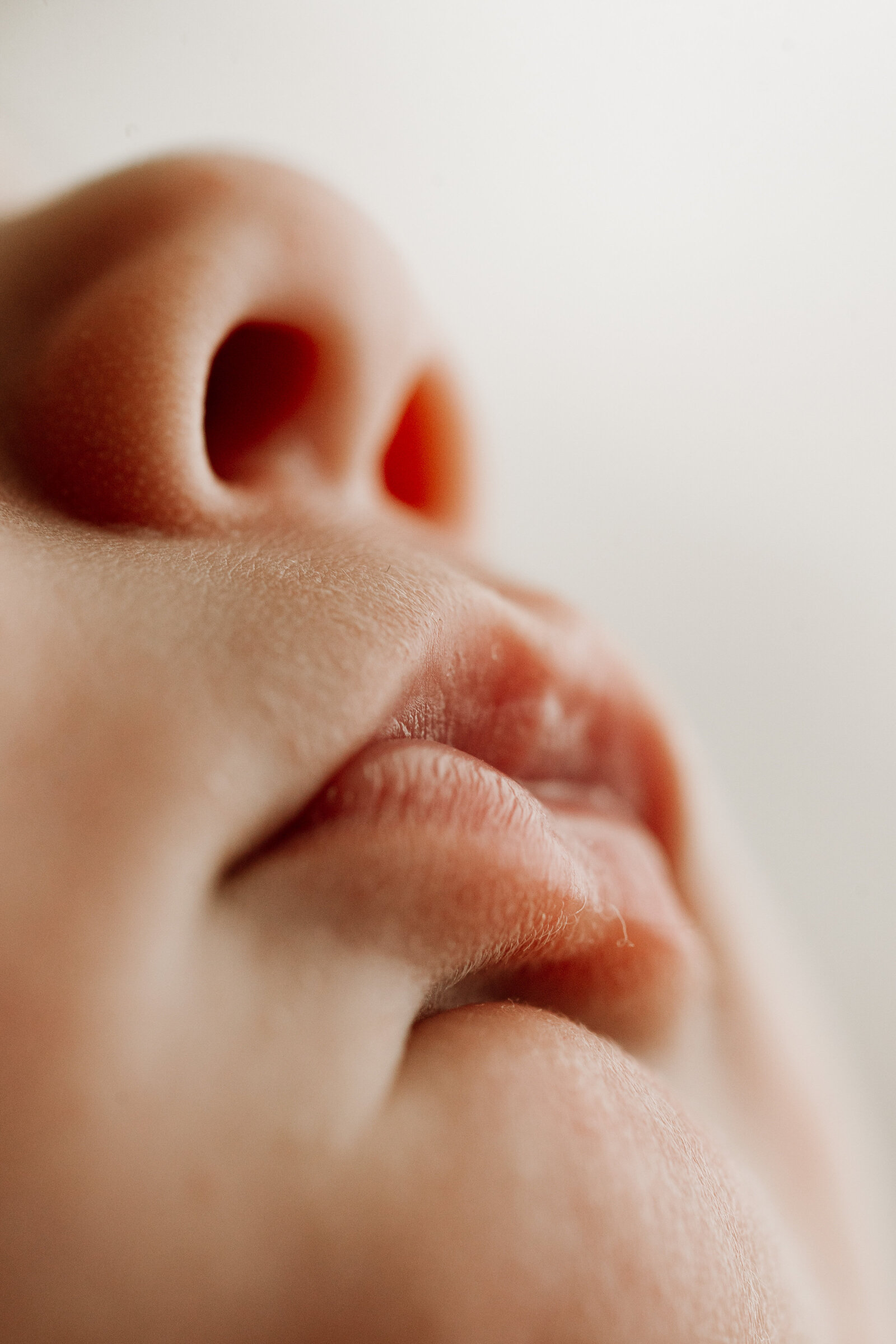 Newborn Photography Bunbury