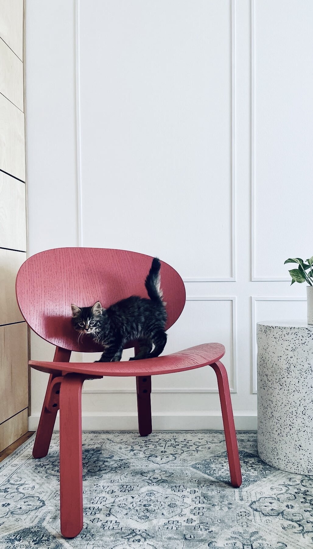 E315A239-D35A-41EE-AE6A-5E270C19C860