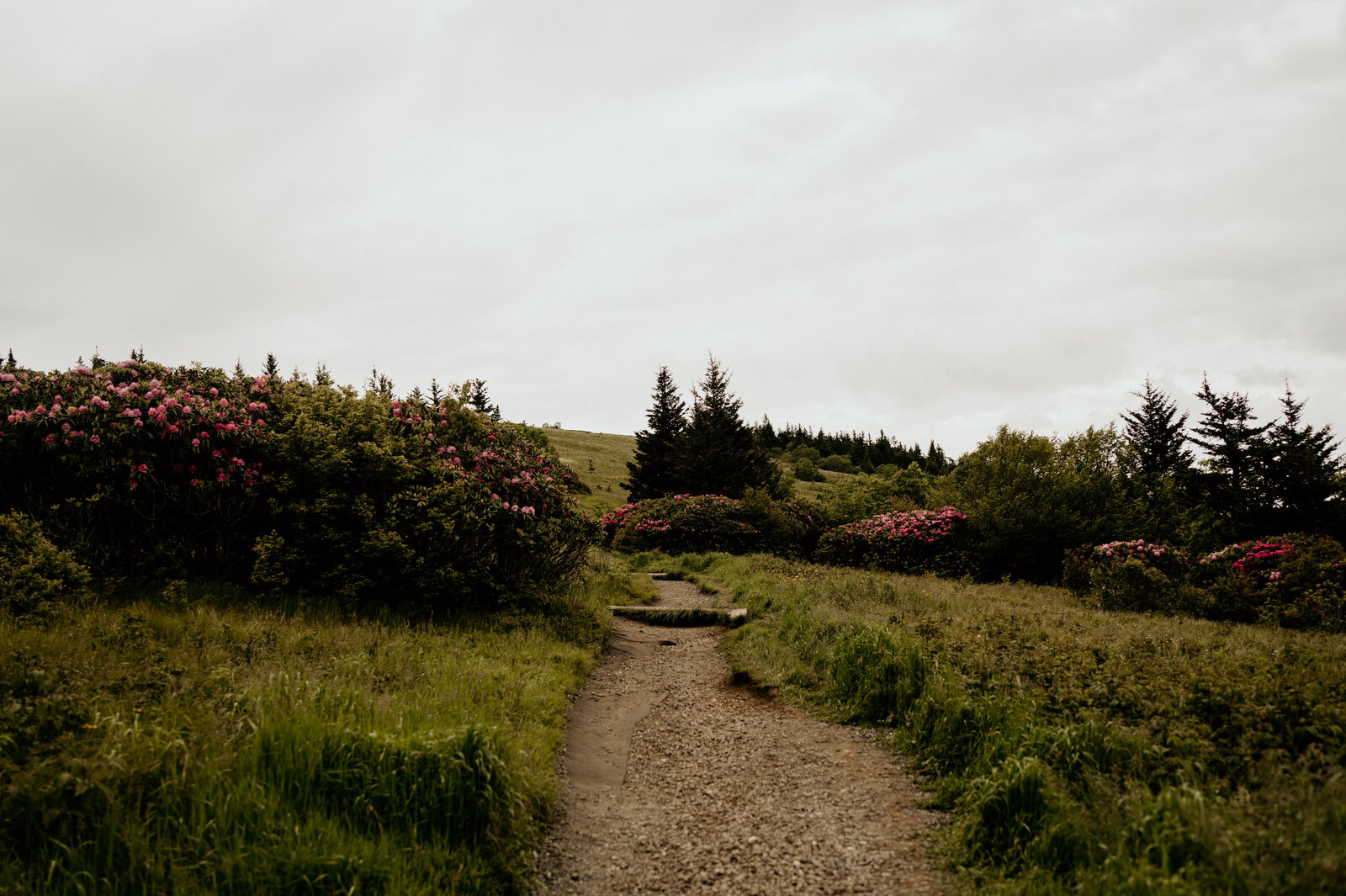 DSC_0092