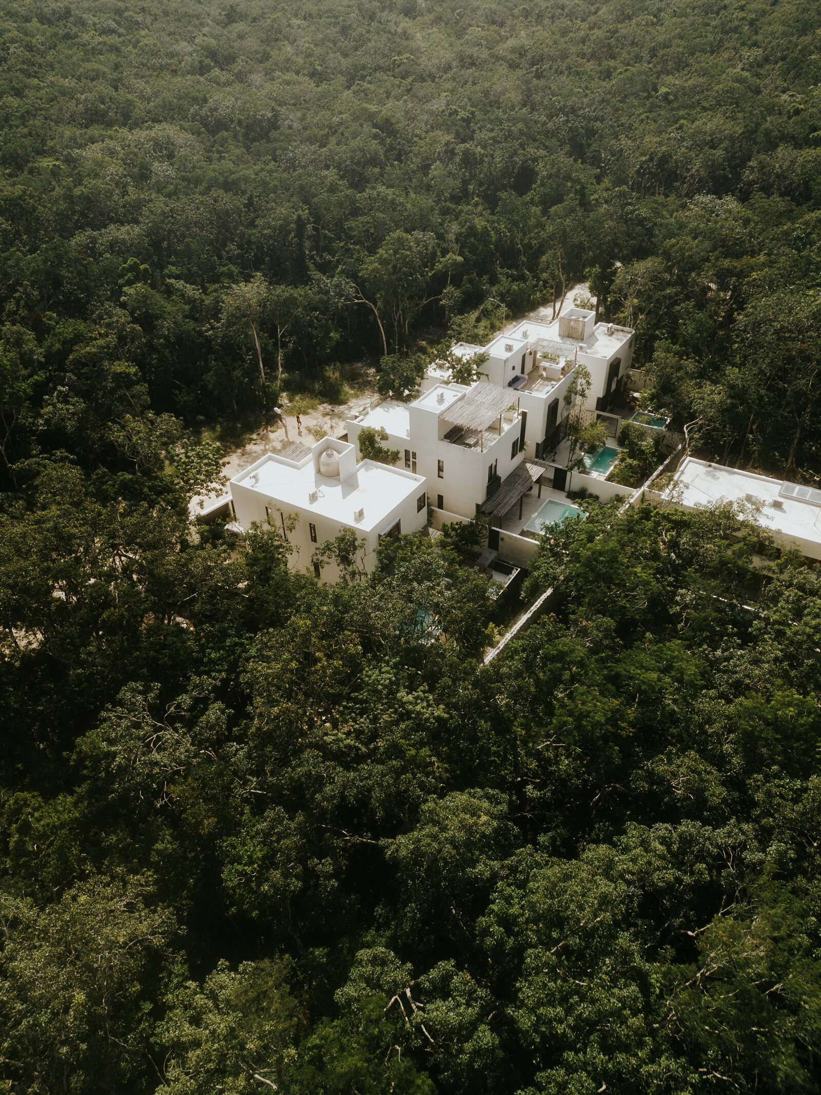 Drone-view-jungle-tulum