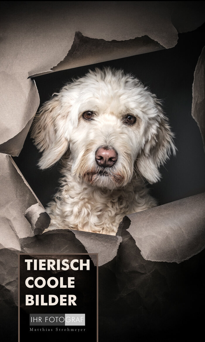 D 123-24-01 neu Homepage_ihr-Fotograf