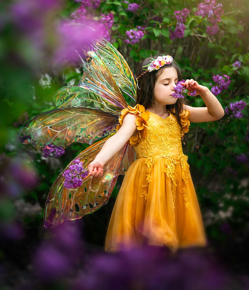 lilac-farm-purple-fairy-fairytale-storybook-children-colorado-todd-creek-phtographer-crop