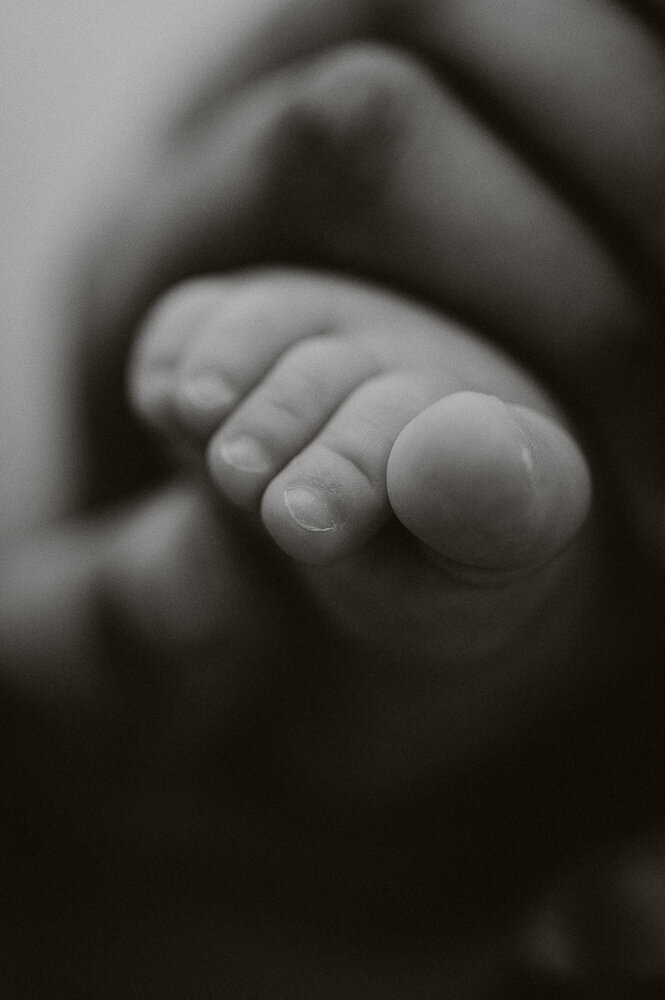 sydney baby shoot photography newborn session shoot-56