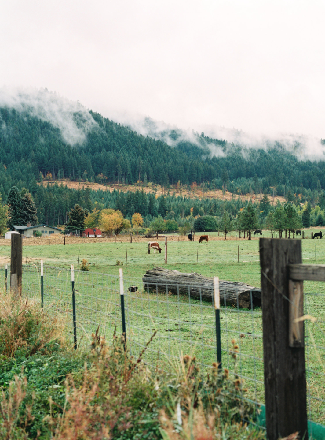 Screen Shot 2020-12-20 at 11.58.24 AM