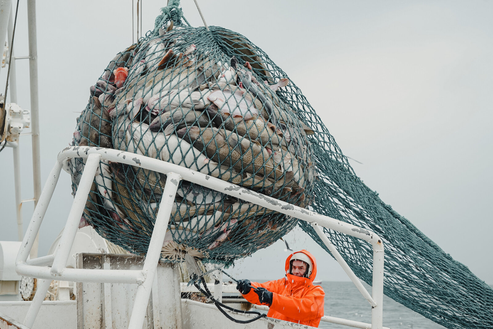 stories-across-the-north-atlantic-27