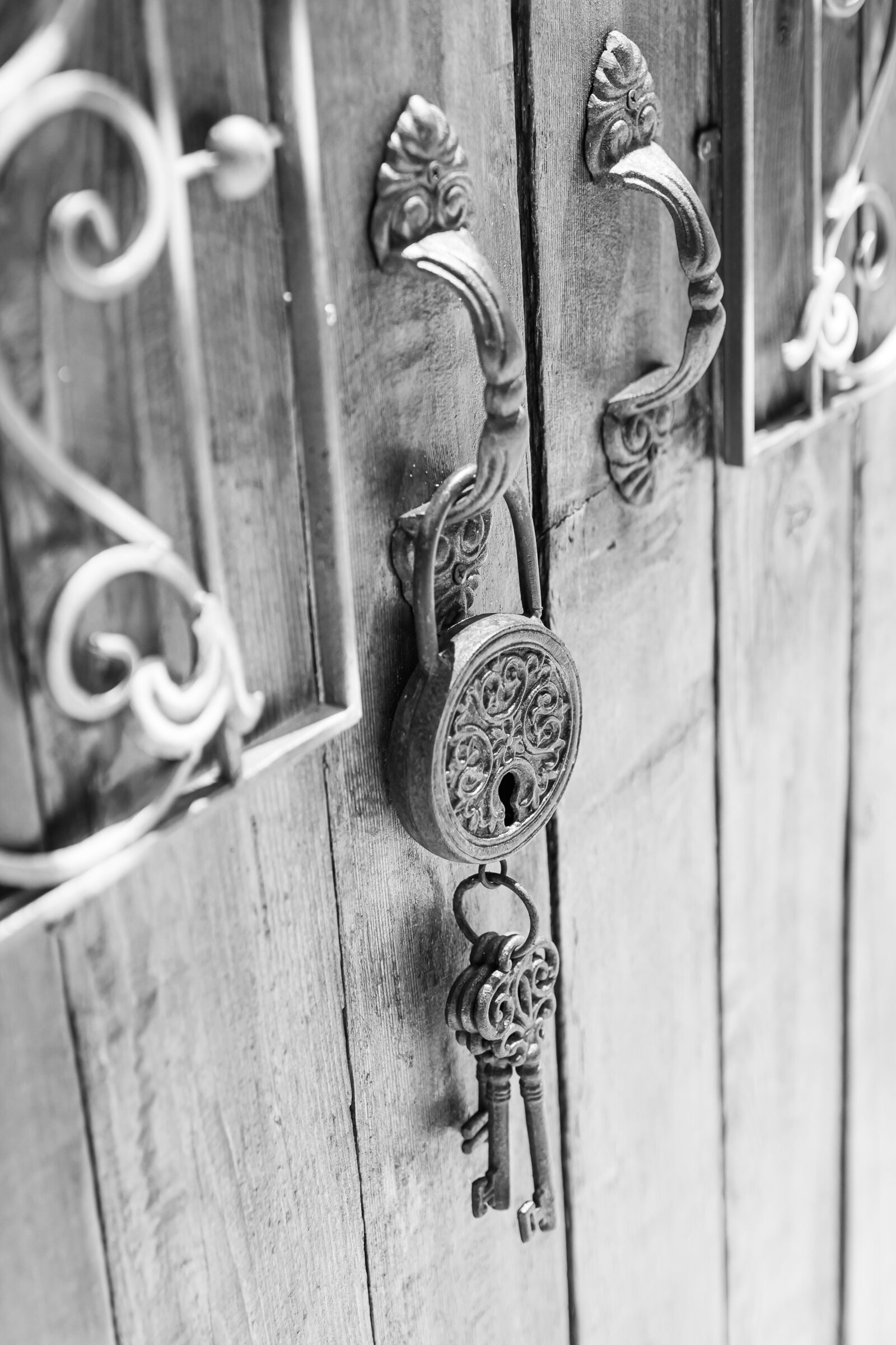 Florida-wedding-photographer-Bakers-ranch-wedding-parrish-wedding-venue-wedding-planner-sandi-michelle-photograpy32