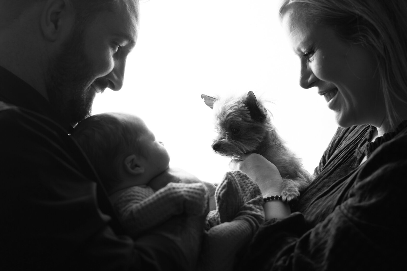 family photo backlit newborn photoshoot with a baby and puppy