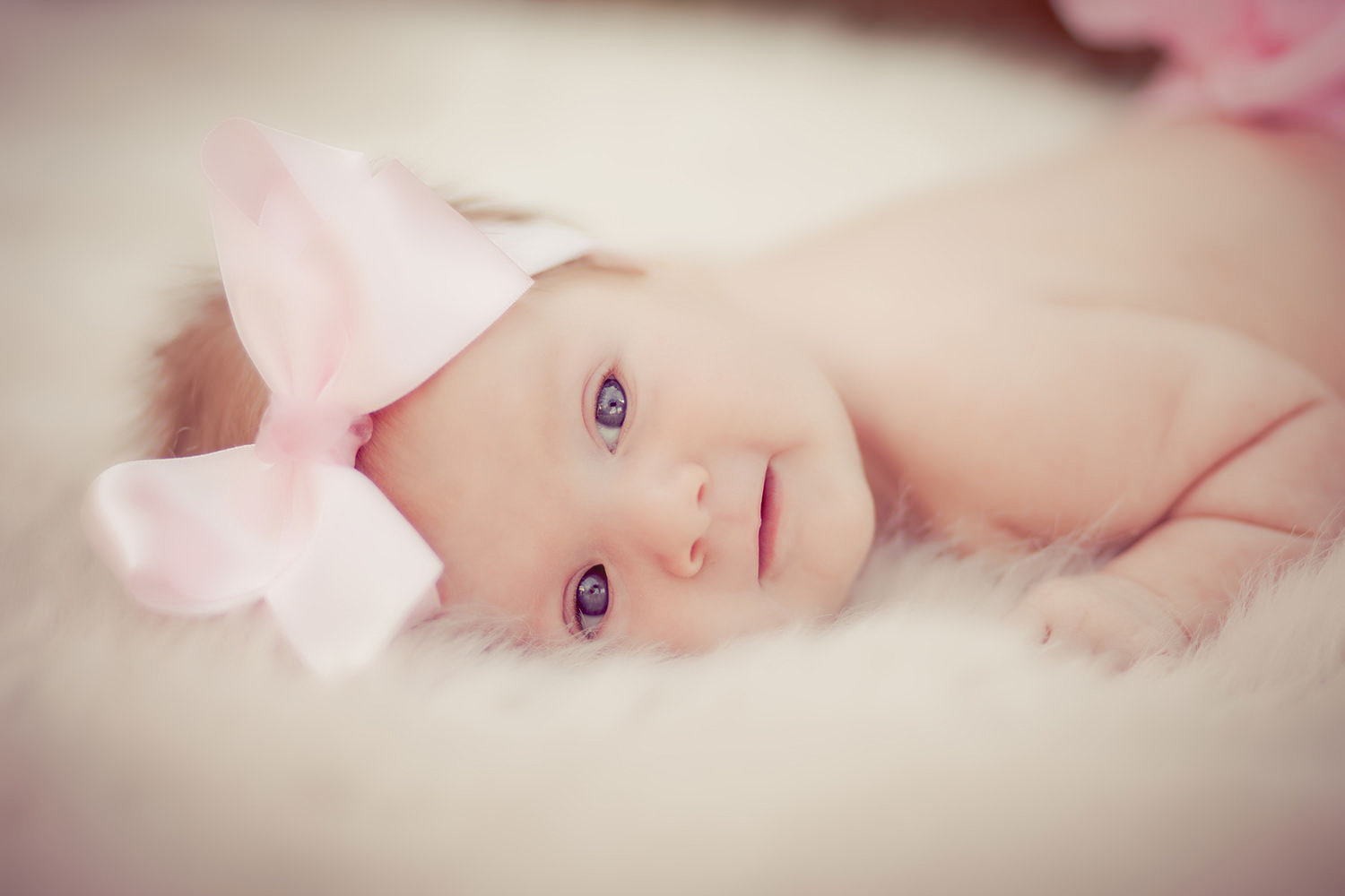 san diego newborn photographer | newborn girl with really cute big pink bow on headband