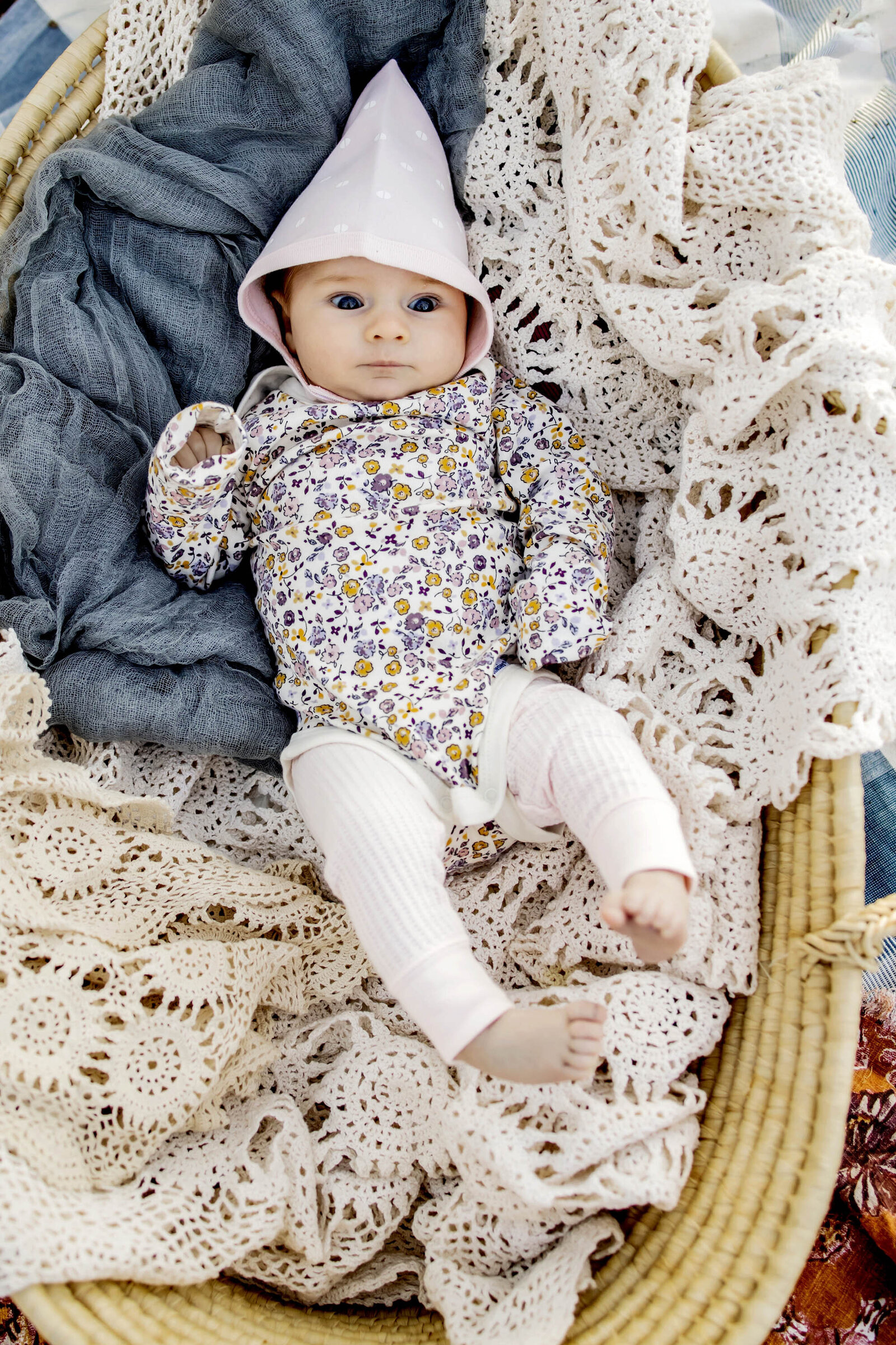 new baby in a basket at an outdoor session