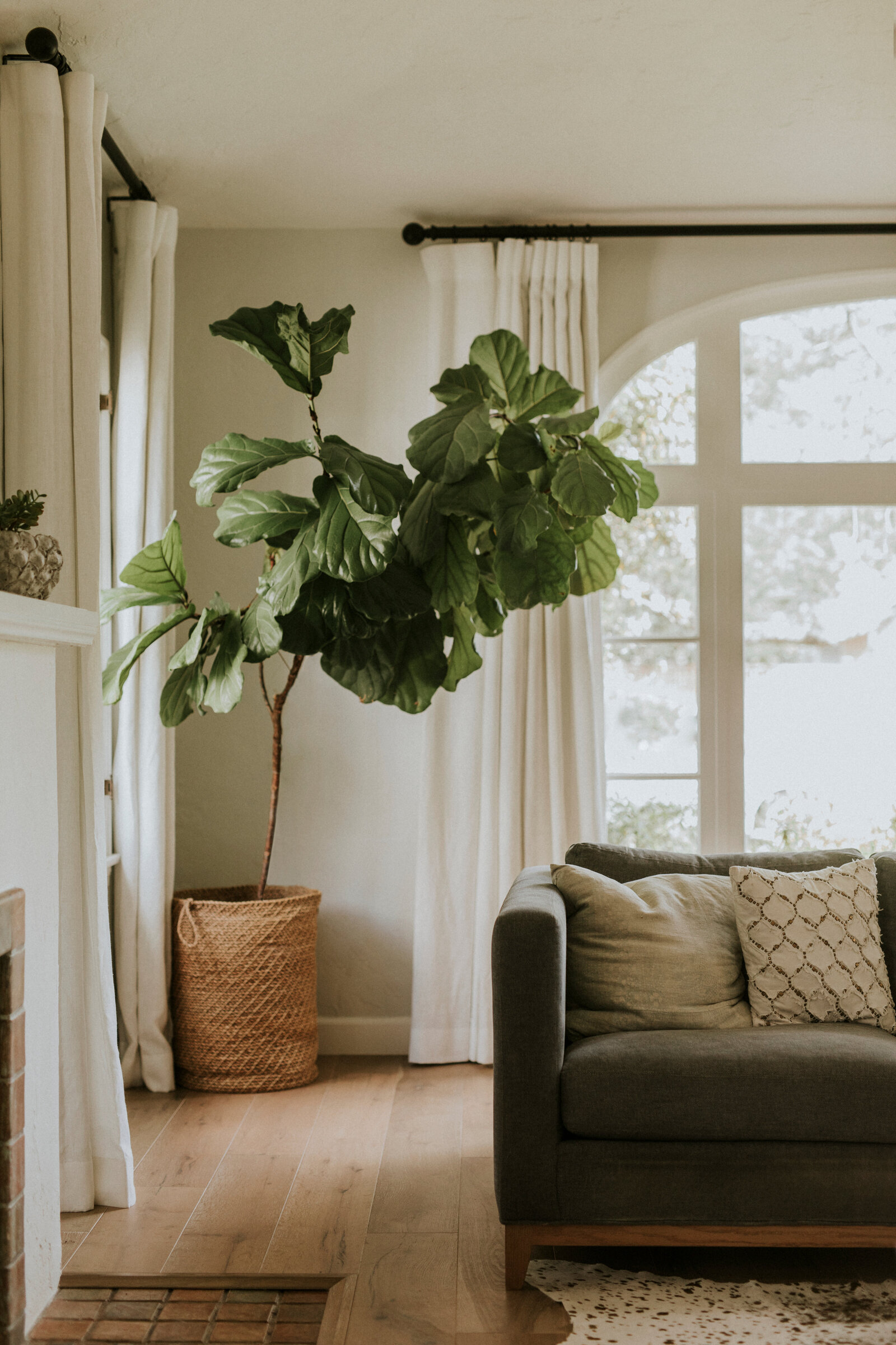 AdobeStock_465007893