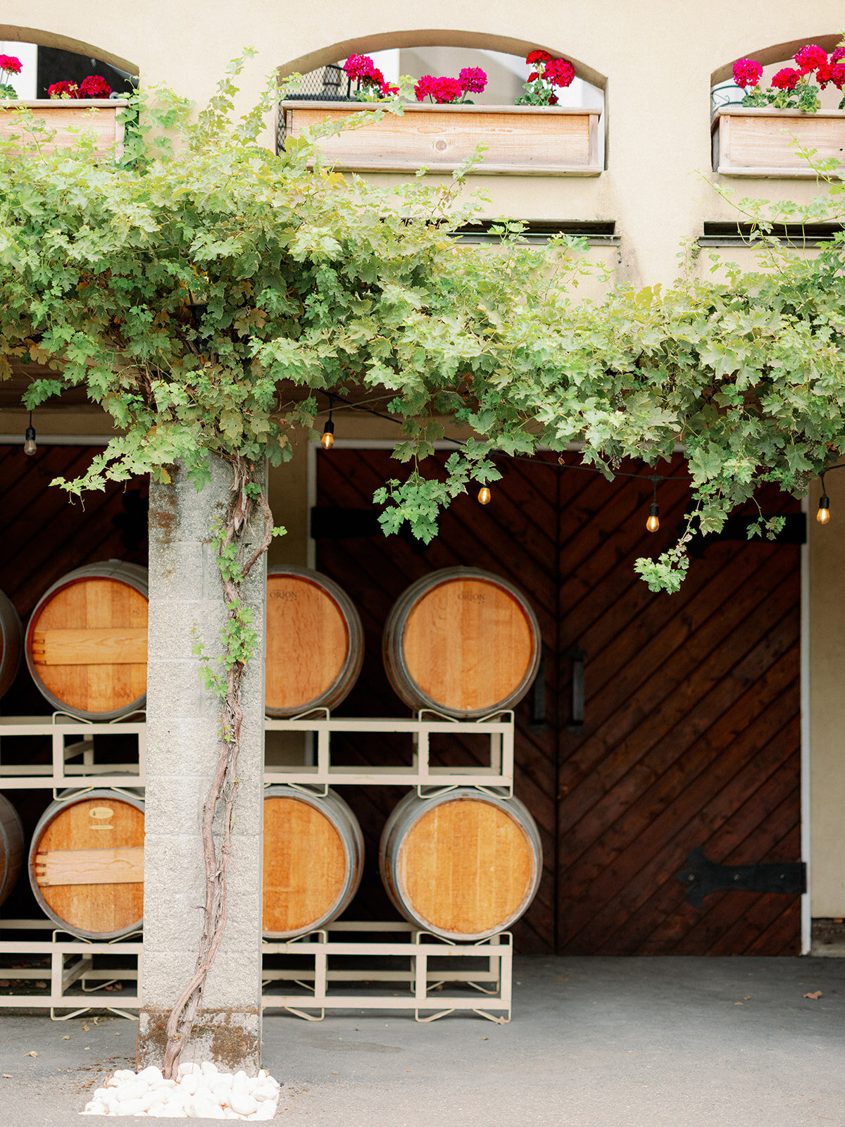 chateau-lille-woodinville-weddingchateaulille_woodinvillewedding-D-E-4