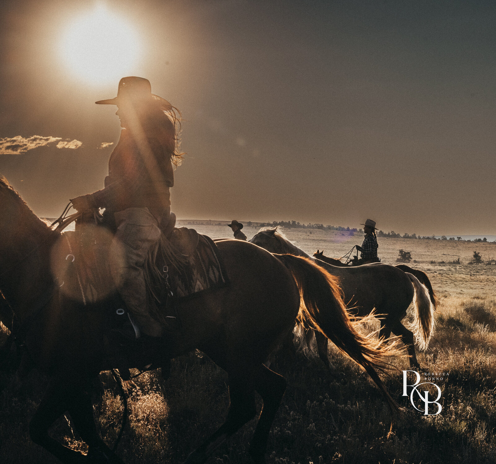202507_dryhead _ranch_RBonno-100-45