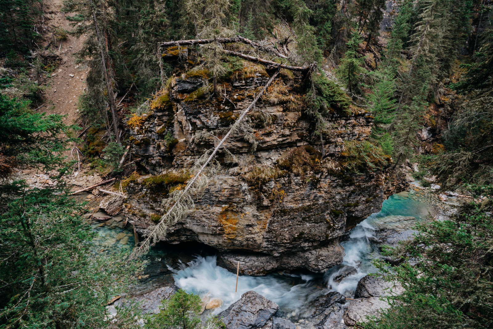 Banff_Jasper_National_Park_Sasha_Reiko_Photography-1